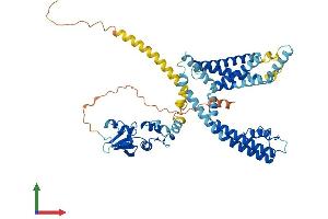 AlphaFold protein structure predicition of Human Recombinant KCNS1 Protein, UniprotID Q96KK3