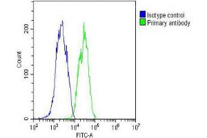 Overlay histogram showing HepG2 cells stained with (ABIN652479 and ABIN2842326) (green line).