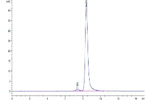 The purity of Cynomolgus GPVI is greater than 95 % as determined by SEC-HPLC.