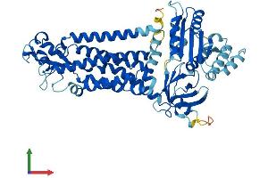 AlphaFold protein structure predicition of Mouse Recombinant Nox3 Protein, UniprotID Q672J9