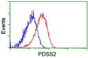 Flow cytometric Analysis of Hela cells, using anti-PDSS2 antibody (ABIN2455300), (Red), compared to a nonspecific negative control antibody, (Blue). (PDSS2 anticorps)