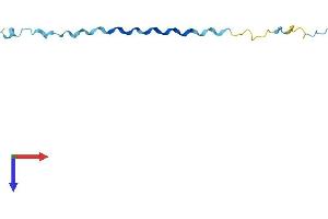 AlphaFold protein structure predicition of Human Recombinant SPRR2A Protein, UniprotID P35326