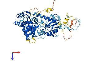 AlphaFold protein structure predicition of Human Recombinant DPH2 Protein, UniprotID Q9BQC3