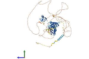 AlphaFold protein structure predicition of Mouse Recombinant Mex3d Protein, UniprotID Q3UE17