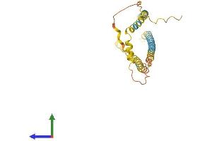 AlphaFold protein structure predicition of Mouse Recombinant Spata9 Protein, UniprotID Q9D9R3
