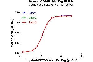 Immobilized Human CD79B, His Tag at 0.