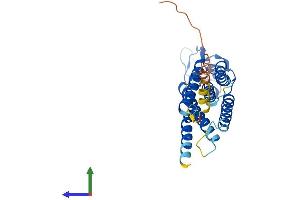 AlphaFold protein structure predicition of Human Recombinant PLPP2 Protein, UniprotID O43688