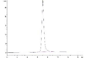 The purity of Human LIGHT Trimer is greater than 95 % as determined by SEC-HPLC.