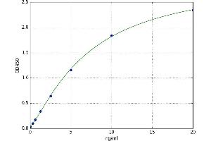 Growth Differentiation Factor 6 (GDF6) ELISA Kit