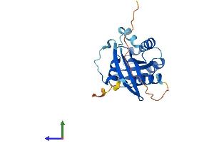 AlphaFold protein structure predicition of Mouse Recombinant Rab43 Protein, UniprotID Q8CG50