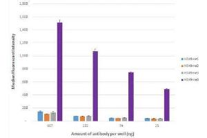 Histone H3K9me0 antibody (rAb) tested by Luminex bead-based specificity analysis. (Recombinant Histone 3 anticorps  (H3K9me))