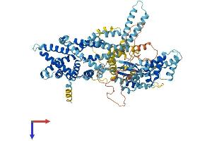 AlphaFold protein structure predicition of Mouse Recombinant Snx25 Protein, UniprotID Q3ZT31