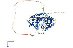 AlphaFold protein structure predicition of Human Recombinant CGAS Protein, UniprotID Q8N884