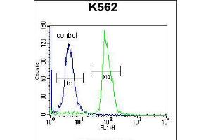 Flow cytometric analysis of K562 cells (right histogram) compared to a negative control cell (left histogram).