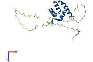 AlphaFold protein structure predicition of Human Recombinant NFYB Protein, UniprotID P25208