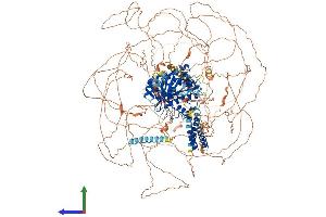 AlphaFold protein structure predicition of Mouse Recombinant Usp54 Protein, UniprotID Q8BL06
