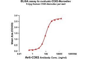 Elisa plates were pre-coated with Flag Tag CD63-Nanodisc (0.
