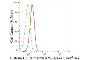 Flow cytometric analysis of Histone H3 (di methyl K79) expression in C2C12 cells using Histone H3 (di methyl K79) antibody (ABIN7798956), 1:2,000). (Recombinant Histone 3 anticorps  (H3K79me2))