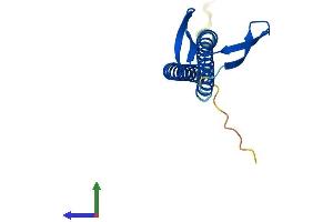 AlphaFold protein structure predicition of Human Recombinant UXT Protein, UniprotID Q9UBK9