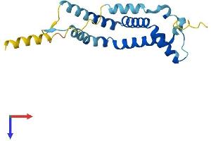 AlphaFold protein structure predicition of Human Recombinant RABAC1 Protein, UniprotID Q9UI14