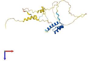AlphaFold protein structure predicition of Human Recombinant BARX1 Protein, UniprotID Q9HBU1