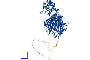 AlphaFold protein structure predicition of Human Recombinant KLHL20 Protein, UniprotID Q9Y2M5