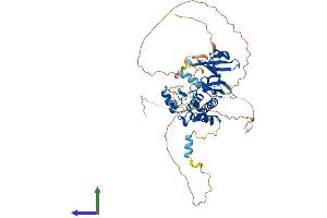 AlphaFold protein structure predicition of Human Recombinant STK33 Protein, UniprotID Q9BYT3
