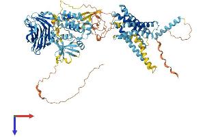 ADGRD2 (AA 1-963) protein (His tag)