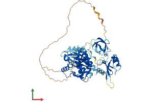 AlphaFold protein structure predicition of Human Recombinant TXK Protein, UniprotID P42681
