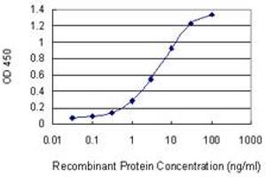 Detection limit for recombinant GST tagged PGBD1 is 0. (PGBD1 anticorps  (AA 241-350))