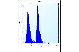 Antibody (N-term) (ABIN656739 and ABIN2845963) flow cytometric analysis of  cells (right histogram) compared to a negative control cell (left histogram). (SEL1L3 anticorps  (N-Term))