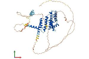 AlphaFold protein structure predicition of Mouse Recombinant Terf2 Protein, UniprotID O35144