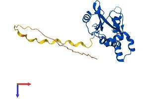 AlphaFold protein structure predicition of Mouse Recombinant Socs1 Protein, UniprotID O35716