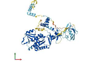 AlphaFold protein structure predicition of Human Recombinant PALS2 Protein, UniprotID Q9NZW5