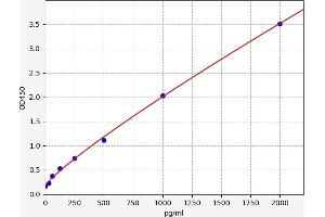 Typical standard curve (ENPP1 Kit ELISA)