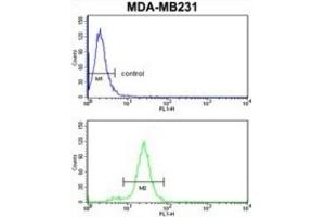 Flow Cytometry (FACS) image for anti-serpin Peptidase Inhibitor, Clade A (Alpha-1 Antiproteinase, Antitrypsin), Member 3 (SERPINA3) antibody (ABIN3003133)