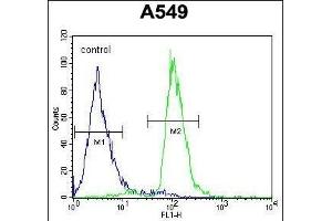 C12orf48 Antibody (C-term) (ABIN654041 and ABIN2843950) flow cytometric analysis of A549 cells (right histogram) compared to a negative control cell (left histogram). (PARPBP anticorps  (C-Term))