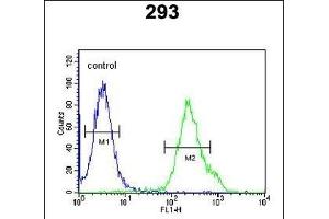 KCTD21 Antibody (C-term) (ABIN651600 and ABIN2840317) flow cytometric analysis of 293 cells (right histogram) compared to a negative control cell (left histogram). (KCTD21 anticorps  (C-Term))