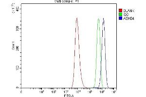 Flow Cytometry analysis of HEL cells using anti-ABHD4 antibody (ABIN7601011). (ABHD4 anticorps  (AA 27-342))