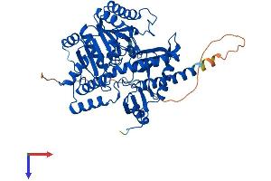 AlphaFold protein structure predicition of Human Recombinant ETNPPL Protein, UniprotID Q8TBG4