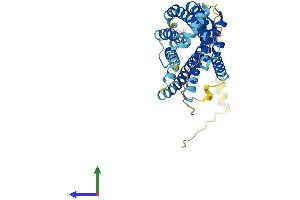 AlphaFold protein structure predicition of Human Recombinant CXCR3 Protein, UniprotID P49682