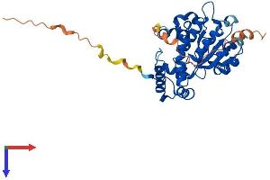AlphaFold protein structure predicition of Human Recombinant TTPAL Protein, UniprotID Q9BTX7