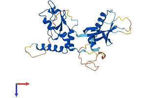 AlphaFold protein structure predicition of Human Recombinant PCGF5 Protein, UniprotID Q86SE9