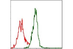 Flow cytometric analysis of Jurkat cells using ASS1 monoclonal antibody, clone 2B10  (green) and negative control (red). (ASS1 anticorps)