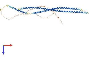 AlphaFold protein structure predicition of Mouse Recombinant Krt81 Protein, UniprotID Q9ERE2