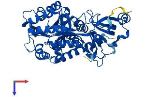 AlphaFold protein structure predicition of Mouse Recombinant Gda Protein, UniprotID Q9R111