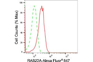 Flow cytometric analysis of RAB22A expression in H9c2 cells using RAB22A antibody (ABIN7800090), 1:2,000). (Recombinant RAB22A anticorps)