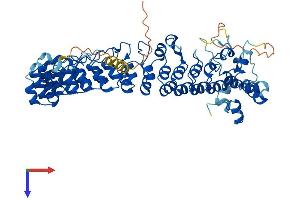 AlphaFold protein structure predicition of Mouse Recombinant Asb15 Protein, UniprotID Q8VHS6