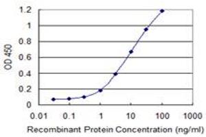 Detection limit for recombinant GST tagged OTOP2 is 0. (Otopetrin 2 anticorps  (AA 423-493))