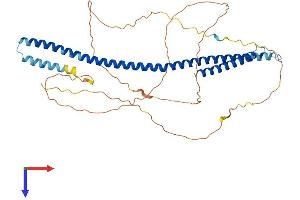 AlphaFold protein structure predicition of Human Recombinant CENPU Protein, UniprotID Q71F23